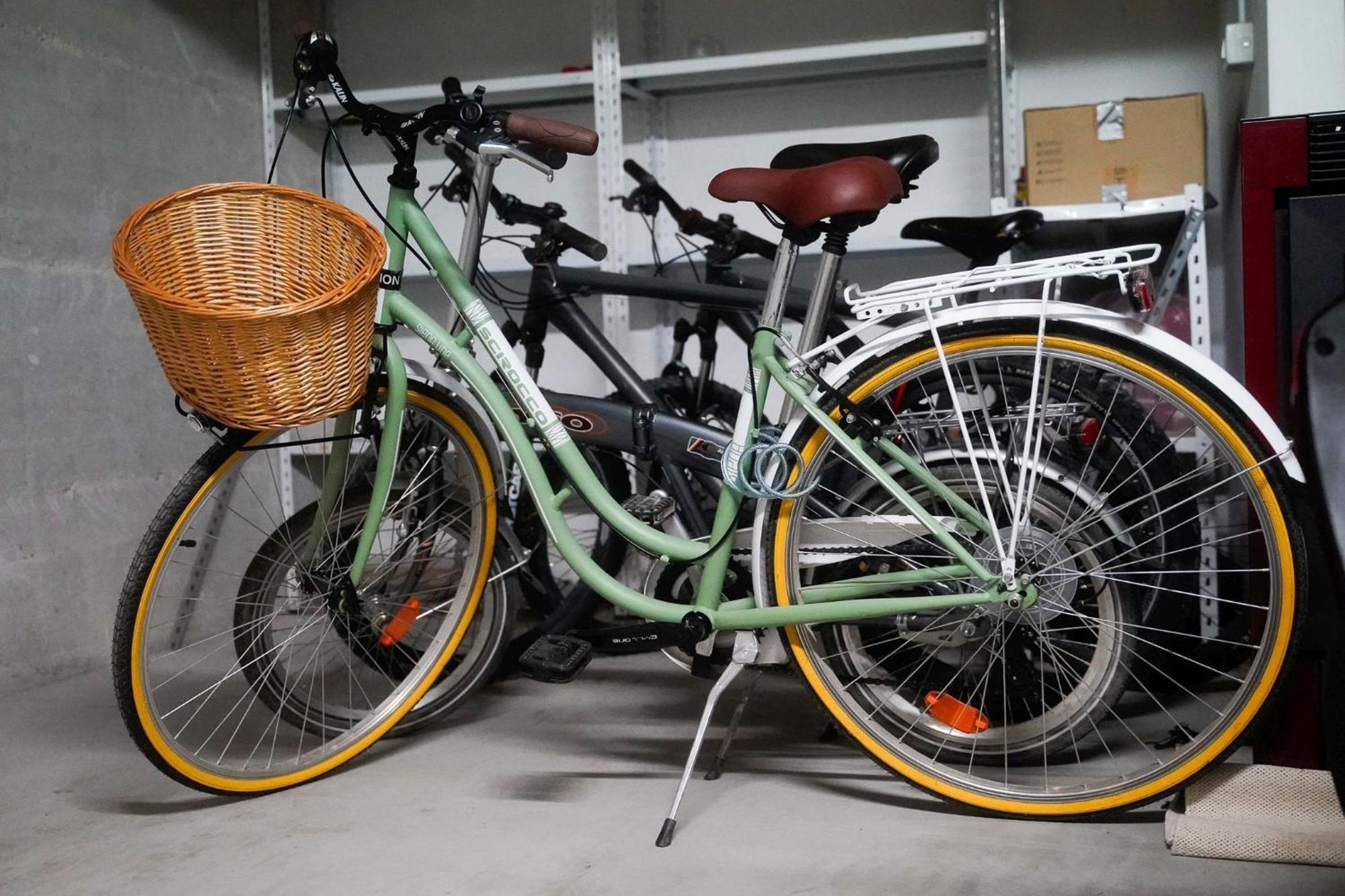 Dandelion Apartment Rovinj-Free Bikes Eksteriør billede
