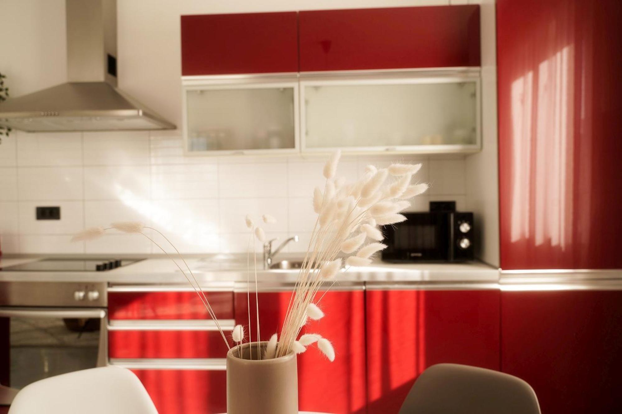 Dandelion Apartment Rovinj-Free Bikes Eksteriør billede