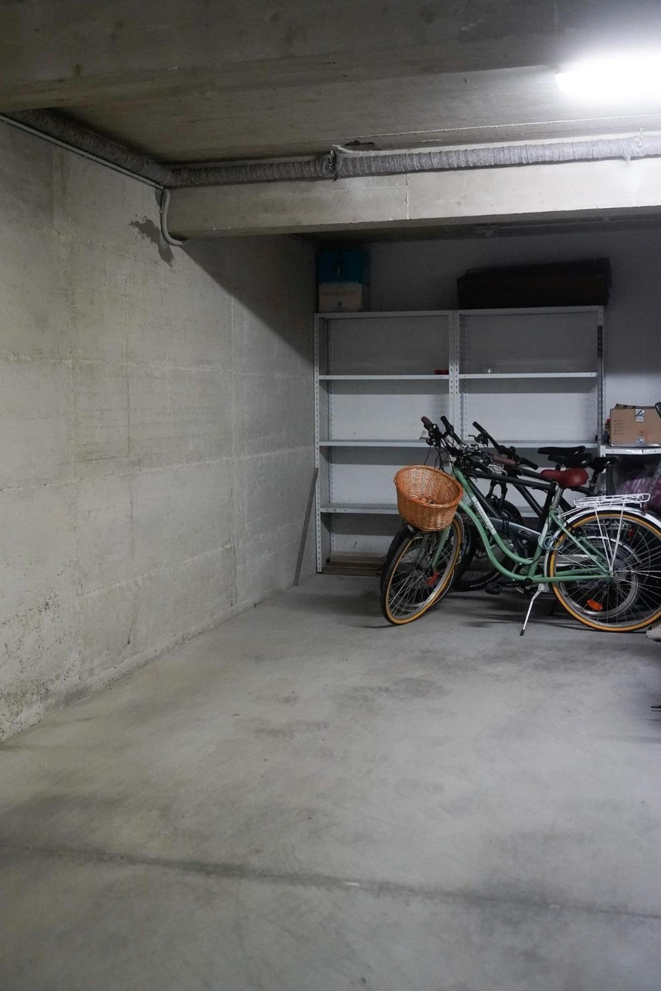 Dandelion Apartment Rovinj-Free Bikes Eksteriør billede