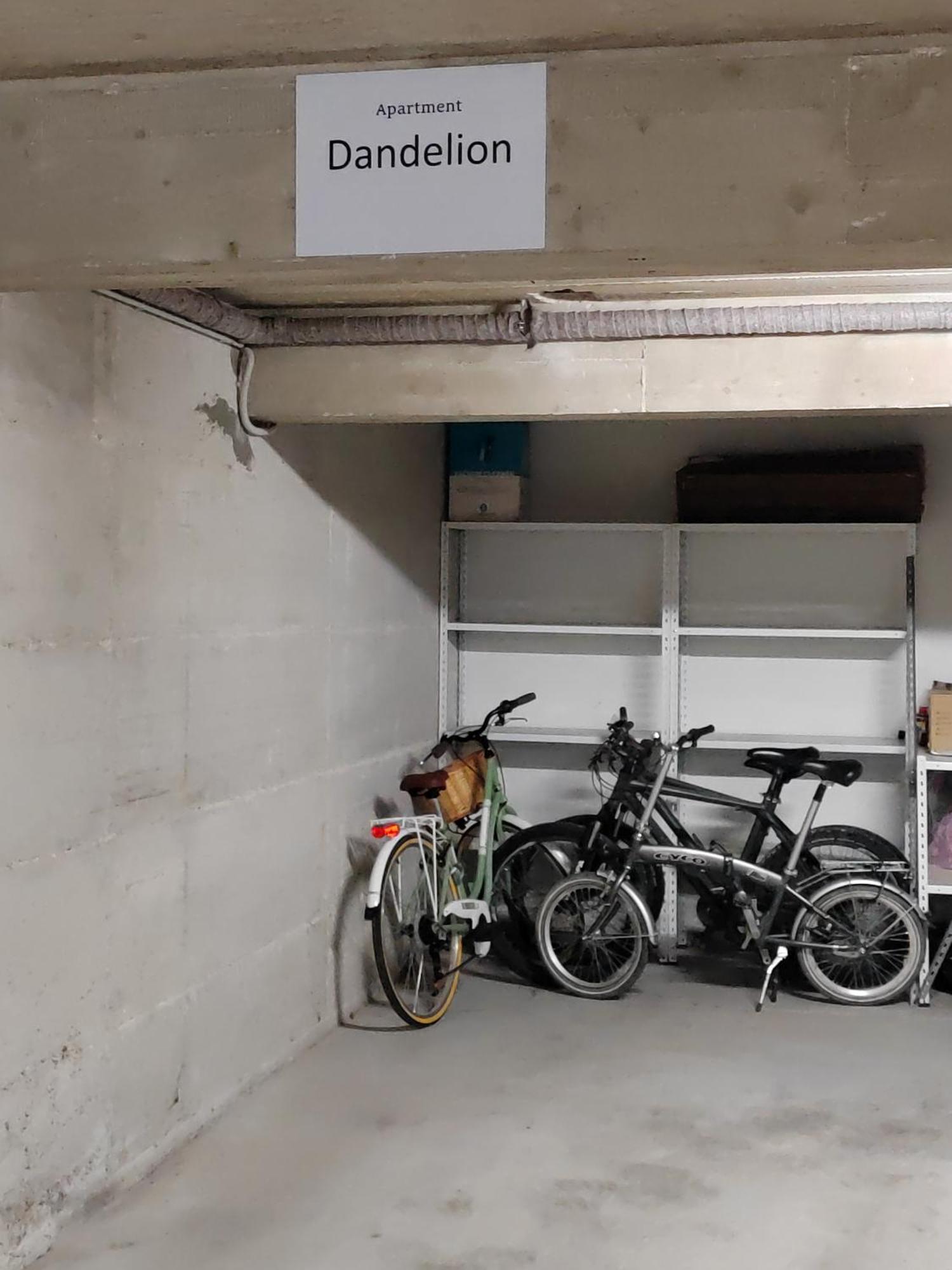 Dandelion Apartment Rovinj-Free Bikes Eksteriør billede